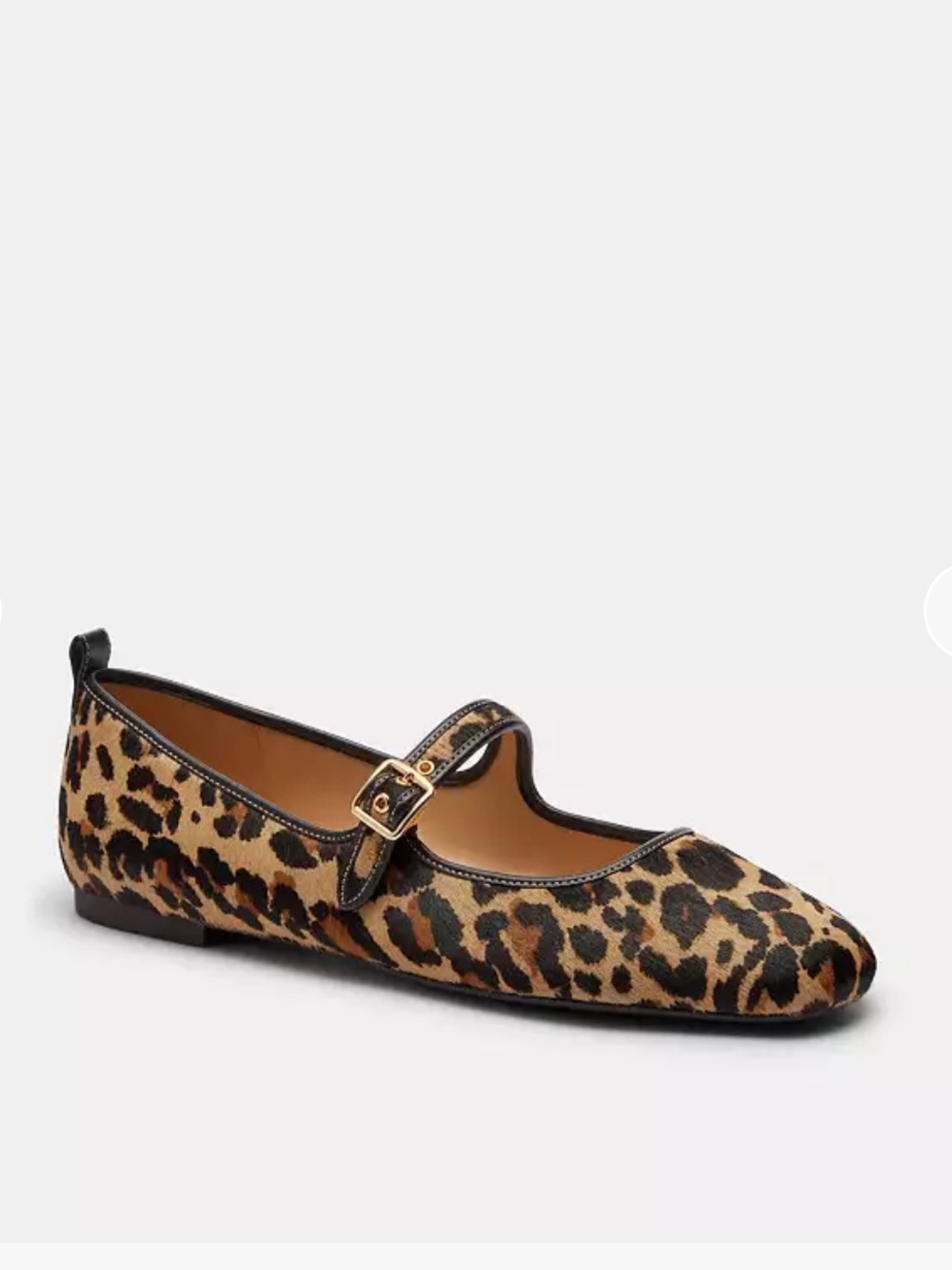 Coach Leopard Print Mary Jane Flats in Brown and Black